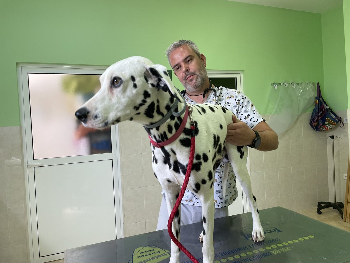 AytoFinestrat's tweet photo. 🐶🐈 Inicio campaña de vacunación antirrábica y desparasitación de mascotas hasta el 22 de julio. Las concejalas de Sanidad @Nati_Algado  y Medio Ambiente Stela Alvarez han visitado la Clinica Veterinaria #Finestrat para apoyar la participación y proteger así la salud de todos. https://t.co/RiUhn4EmhW