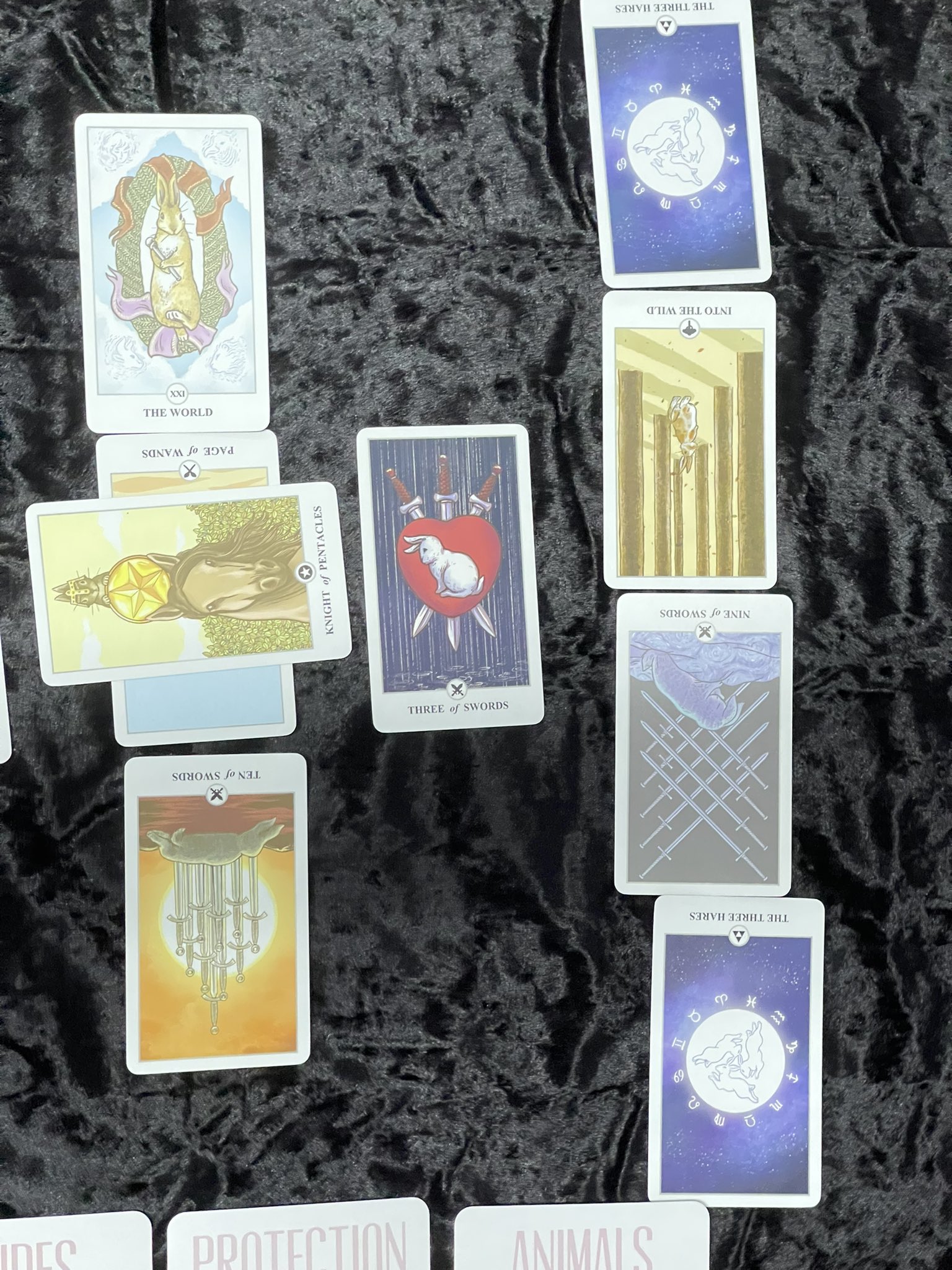 Eyes.See.Stars on Twitter: "Overflowing with gratitude, I was blessed