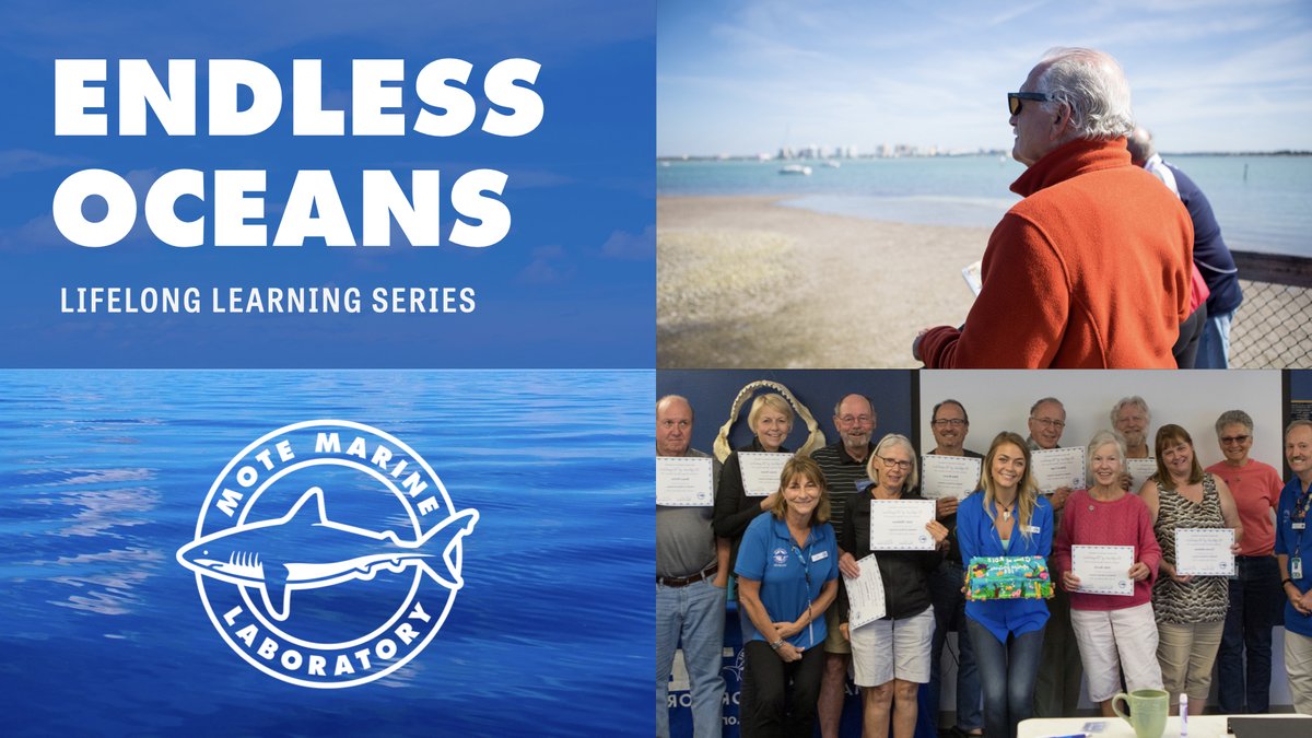 🌊 Curious about our #oceans? Interested in expanding your knowledge while also expanding your network? 📝 Continue your lifelong learning journey with <a href="/MoteMarineLab/">Mote Marine Laboratory & Aquarium</a>. 📆 Registration is now open for our fall #EndlessOceans classes.