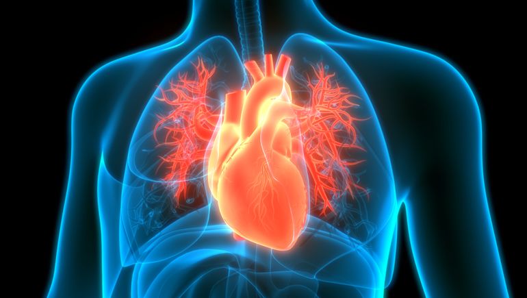 QuidelOrtho’s recall of a test to detect heart attacks was labeled Class I by the FDA. The company received reports that the tests showed lower than expected troponin levels, and advised clinicians to immediately stop using them. buff.ly/44sUz1H