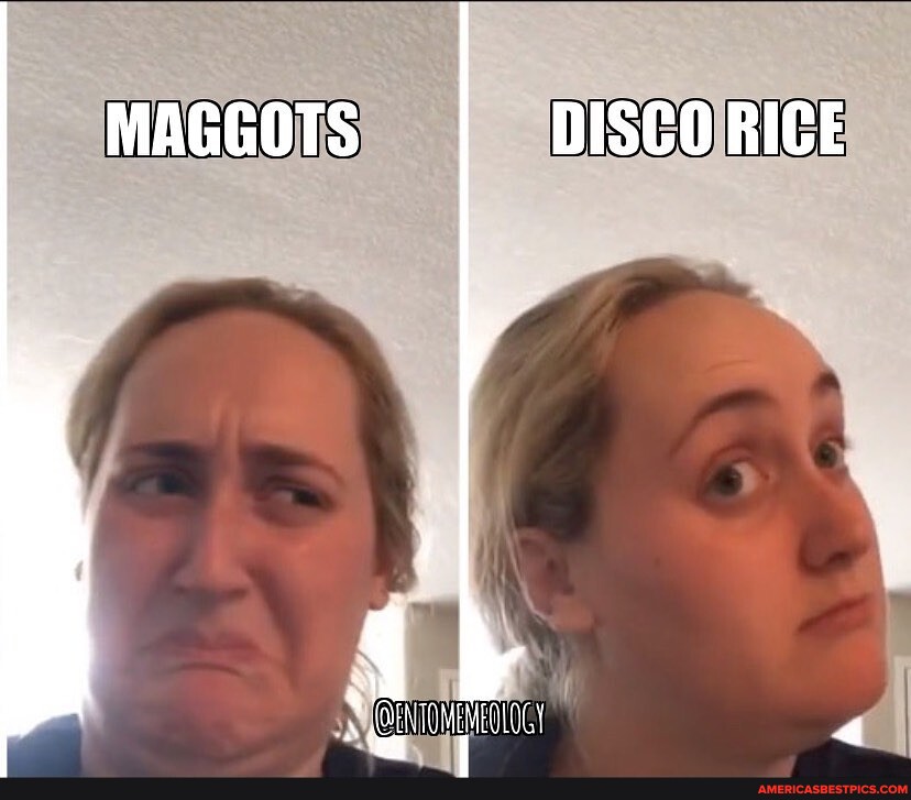 TriTechForensic's tweet image. Shout out to the entomology crowd! #forensicentomology