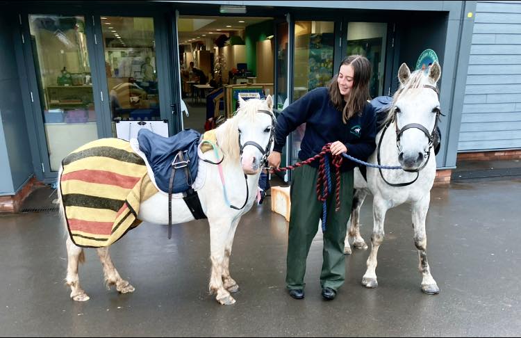 School summer fete, Llangors style! Not even the pouring rain put us off the pony rides. We LOVE our community. Thank you Tairderwen Riding Tables.