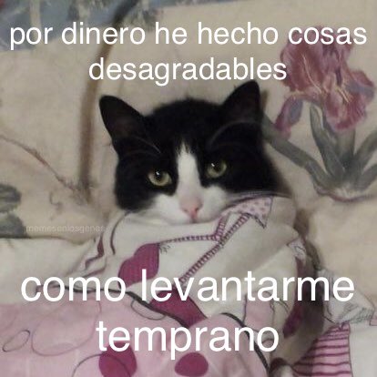 memesenlosgenes (@memesenlosgenes) on Twitter photo 