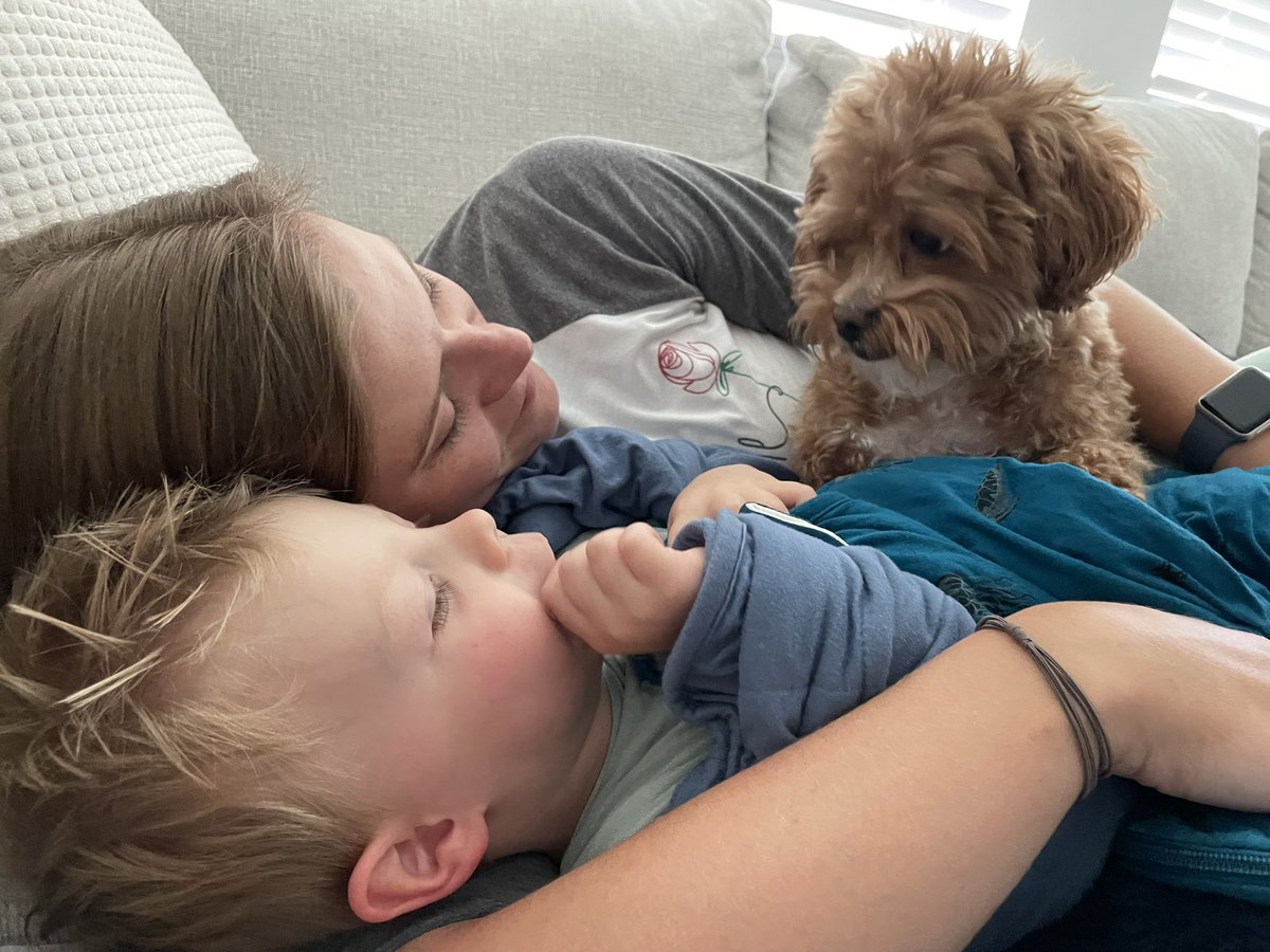 AP_Swenson's tweet photo. Cannot believe that summer is almost over 😭 This summer was spent with my favorite people in my favorite places. A trip to Cabo with my side of the family and a trip to Florida with my wife’s family and every other minute spent with my little guy 🥰 #RHSRoar #LionsAtPlay https://t.co/Jtkrjr0pb9
