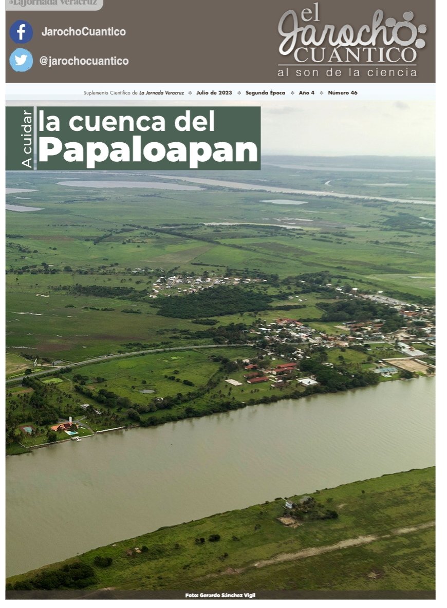 No se pierdan nuestra contribución desde la Red MORA  en la publicación 46 de Jarocho cuántico "A cuidar la cuenca del Papaloapan" compartiendo reflexiones sobre las formas de vida y gestión del agua de la gran cuenca del río  #Papaloapan
🌿💧😀

jornadaveracruz.com.mx/suplementos/el…