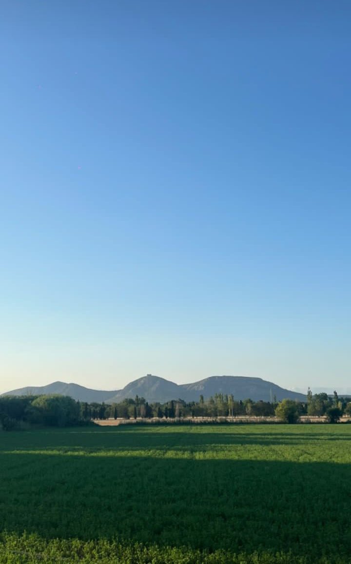 _alraqeba's tweet image. 📍
#แสนปิติ #ISTJby7DREAM #TaylorSwiftErasTour #Crimea #Wimbledon #UkraineRussianWar #Bengaluru #BabarAzam #WeLoveYouBuild