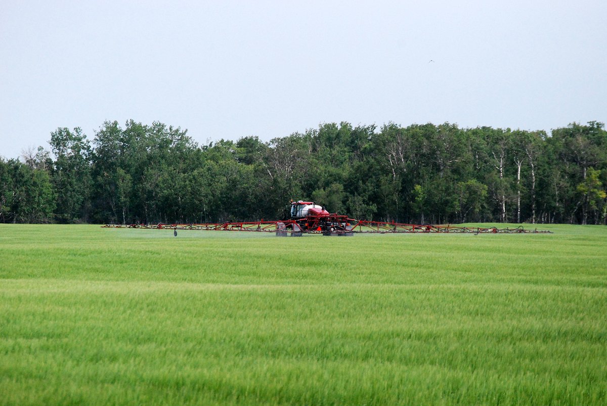 How is the unusually warm growing season changing pesticide staging? Find out more. saskatchewan.ca/business/agric… #SaskAg #CropProductionNews