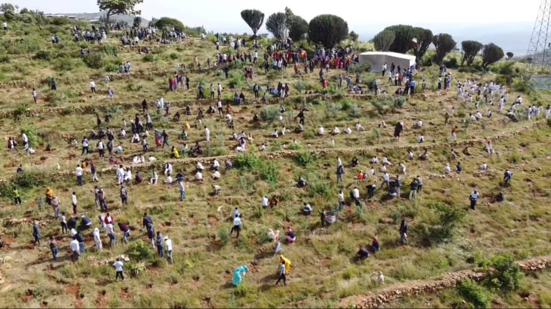 fozimohammed59's tweet photo. Easily, we can!!
#Bedeno district!!
#Green Legacy has been successful in mobilizing thousands of our people to participate in tree planting activities.
It has received as Regional State recognition for its efforts. https://t.co/bkCbv47p8S