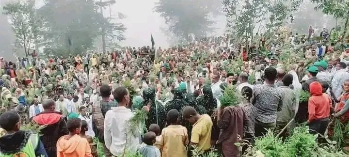 fozimohammed59's tweet photo. Easily, we can!!
#Bedeno district!!
#Green Legacy has been successful in mobilizing thousands of our people to participate in tree planting activities.
It has received as Regional State recognition for its efforts. https://t.co/bkCbv47p8S