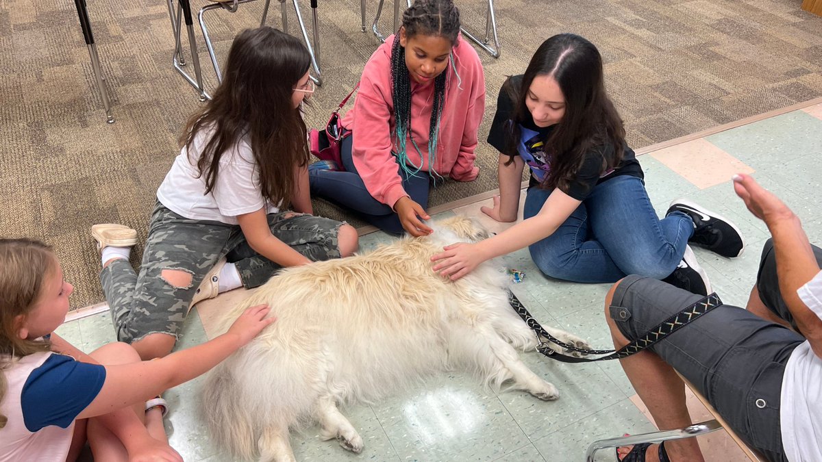 SGSchoolNews's tweet image. 🤩 SGI&apos;s summer camp is abuzz with excitement as visitors join the fun! Several therapy dogs provided fun and engaging reading sessions. The students also went outside where Amber from Codorus State Park introduced them to disc golf! 🥏 #LearningWithoutLimits