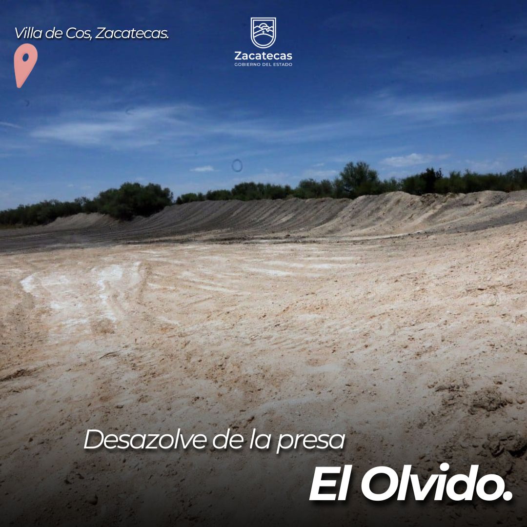 PED Zacatecas tweet media