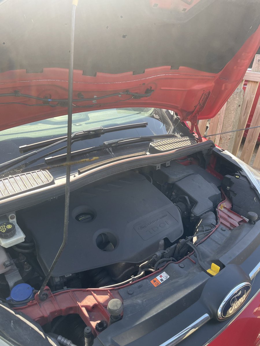 Corryn Webb Illustration tweet media