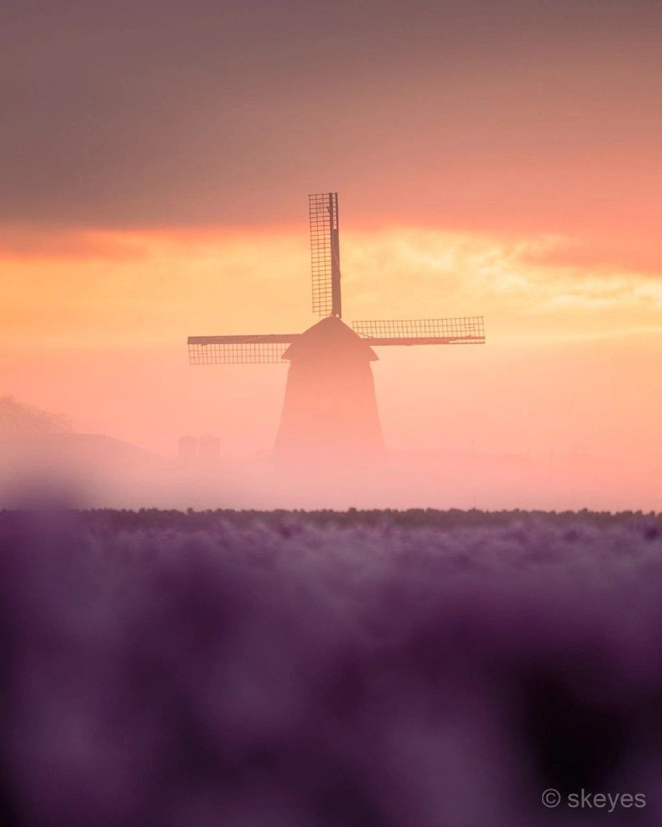 🧡
Good evening 

#nature #Monday