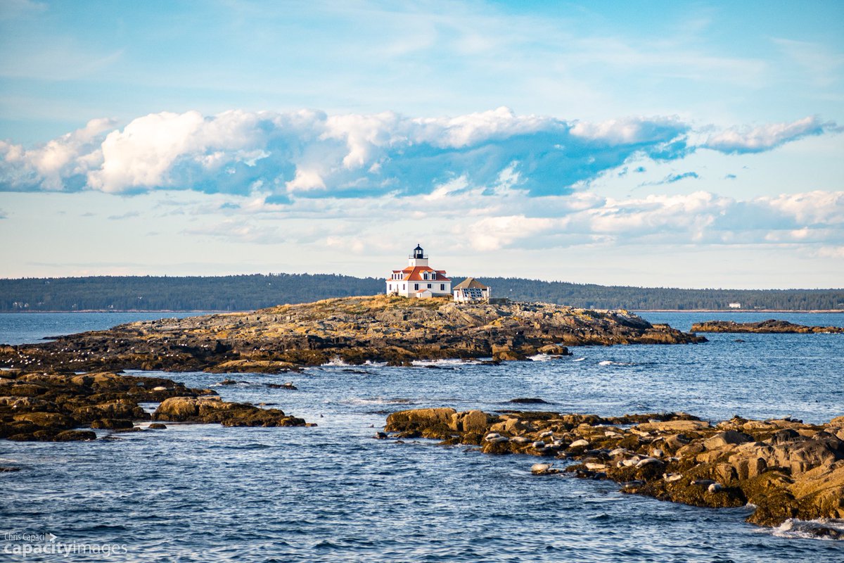 Capacity Images tweet media