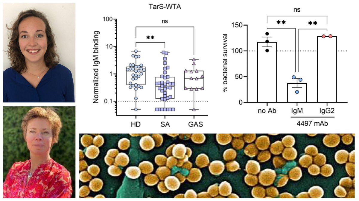 ᐯIᑕTOᖇ ᑎIᘔET tweet media