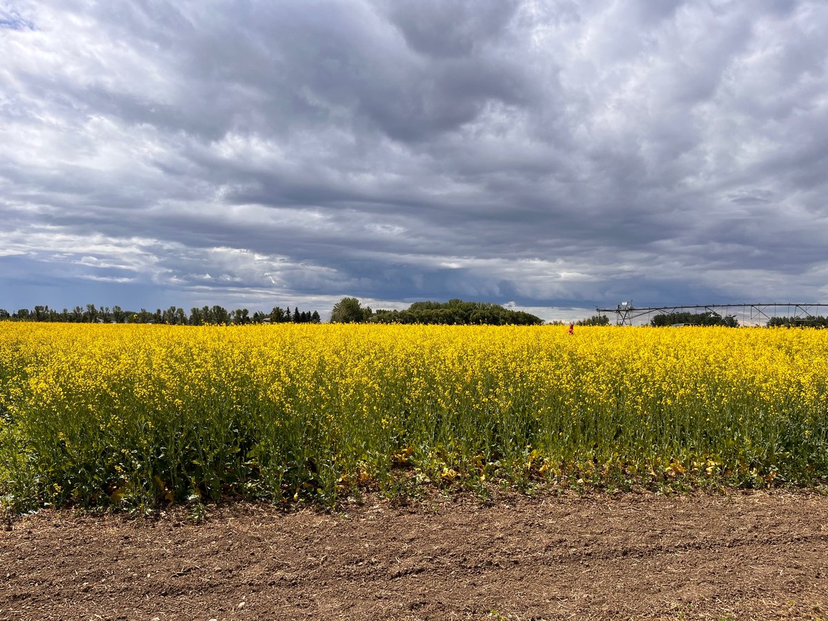 Replenish Nutrients tweet media