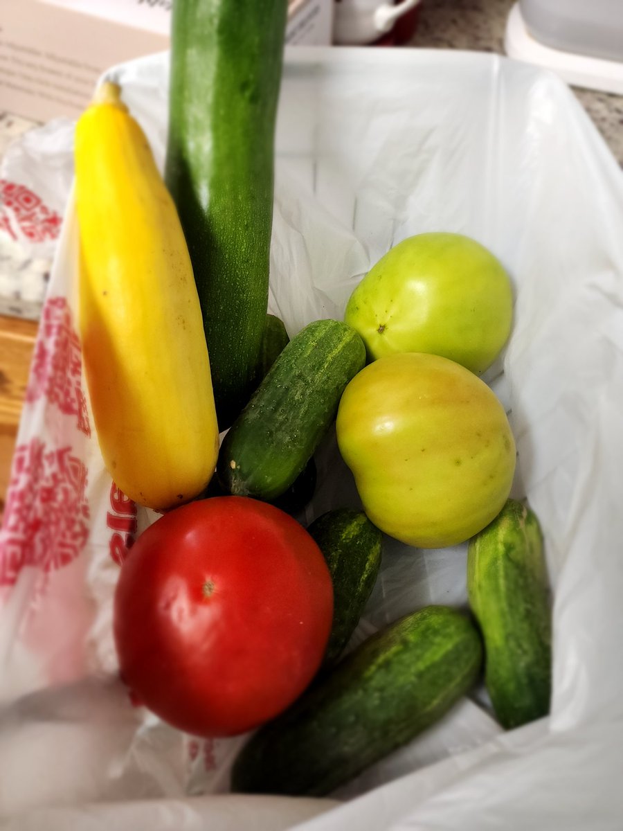 LisaVan25055226's tweet image. Amazing produce stand in Raytown, MO. Found it while out cycling. #GardenersWorld #raytownmo