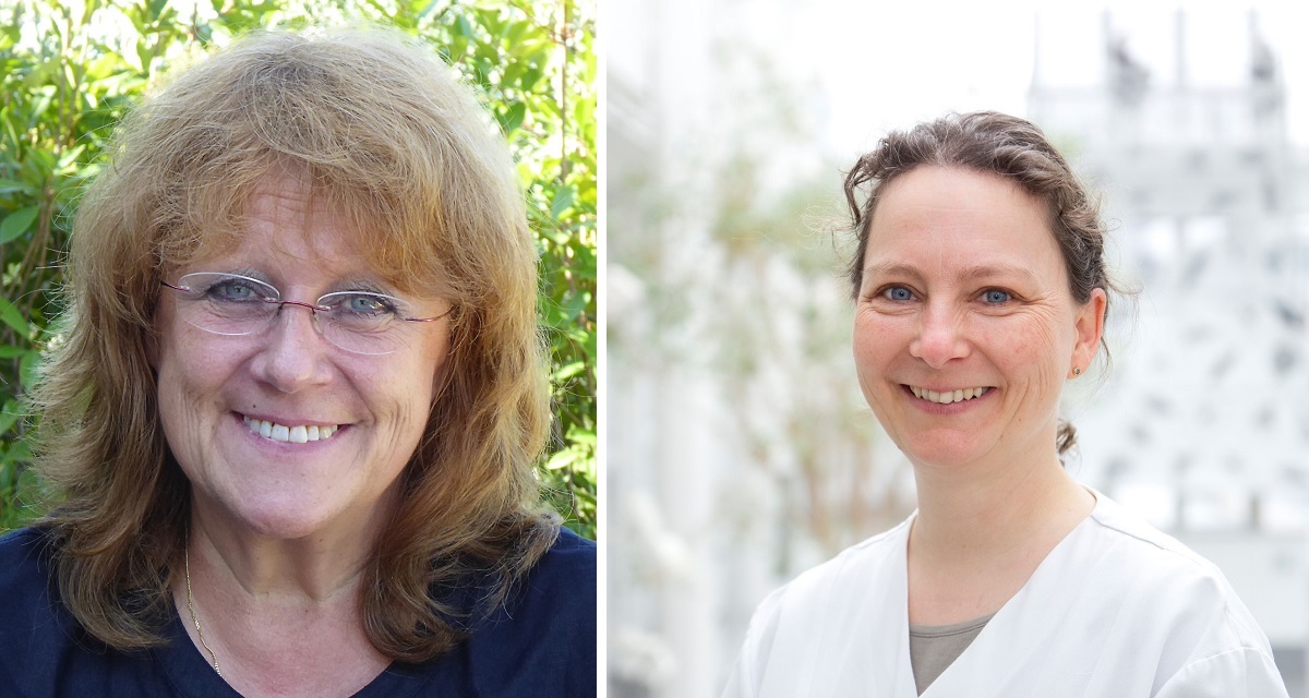 Die Selbsthilfegruppe für Brustkrebs am Klinikum Landshut trifft sich das nächste Mal am Mittwoch, 19. Juli, von 16.30 bis 18 Uhr. Treffpunkt für das gesellige Beisammensein ist der Biergarten zum Hofreiter, Neustadt 505.

landshut.info/2023/selbsthil…