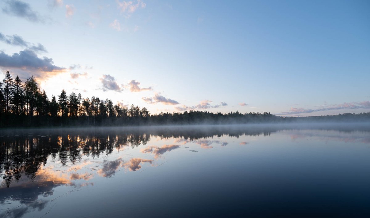 Ari Arola tweet media