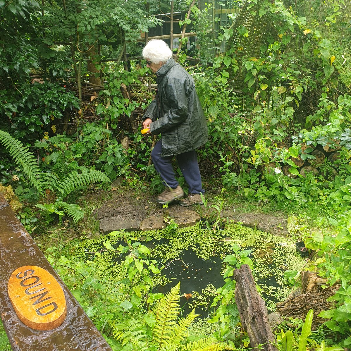 Chur Envi Volunteers tweet media