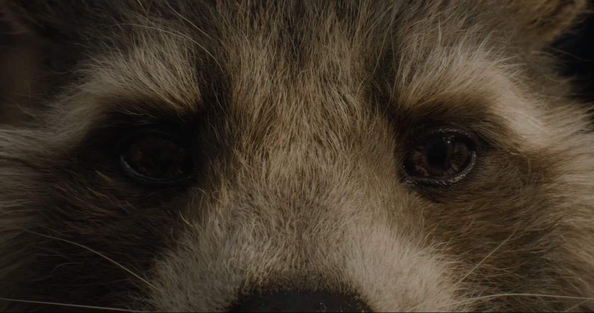 DiscussingFilm tweet media