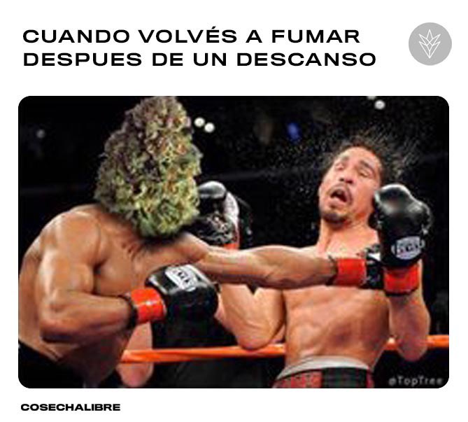 Cosechalibre (@cosechalibre) on Twitter photo 