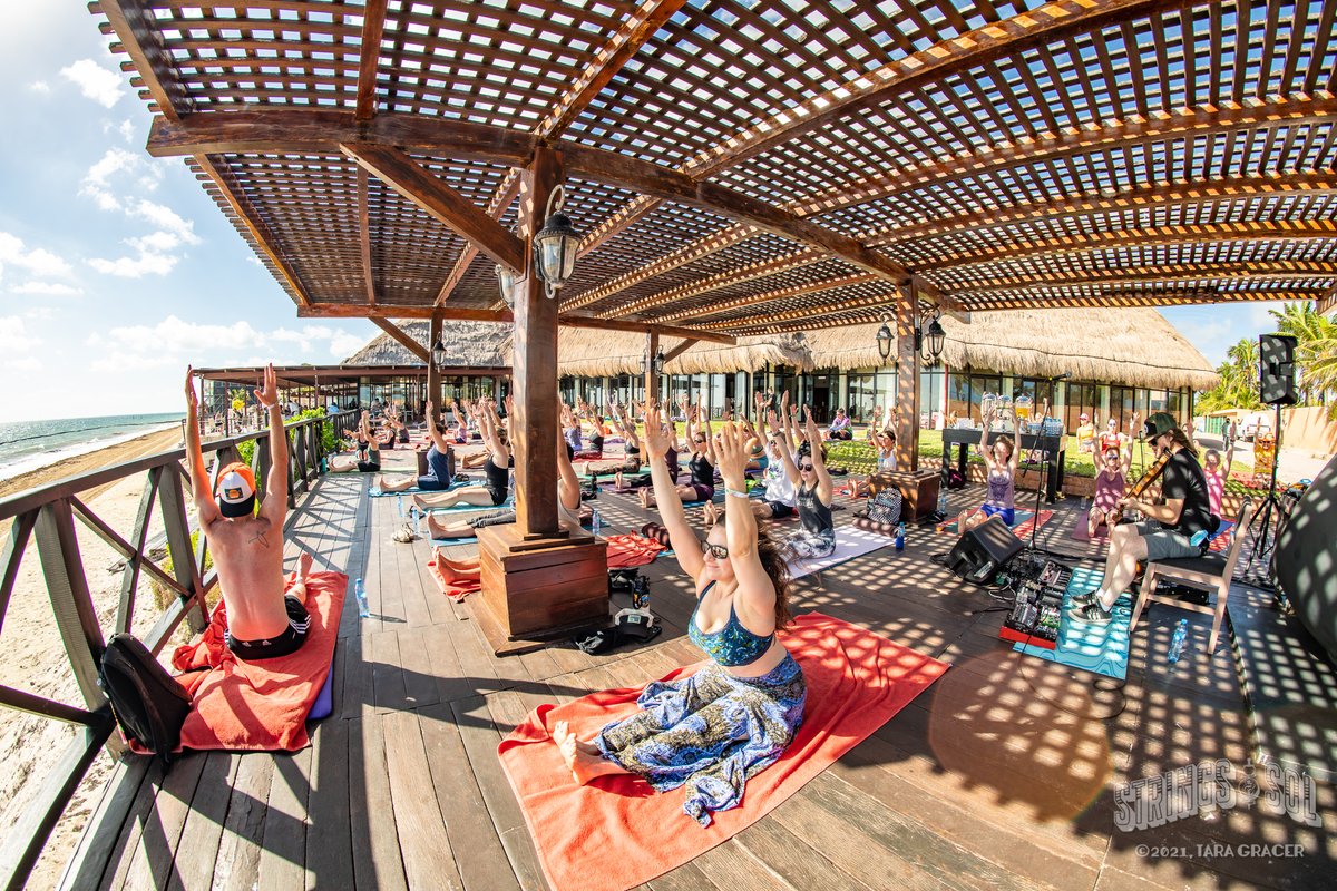 Strings & Sol tweet media