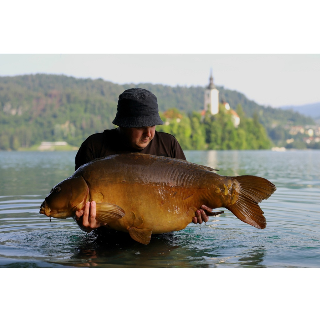 Sticky Baits tweet media