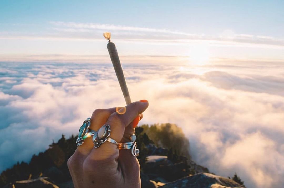 🧘‍♀️ Marihuana y meditación: van de la mano?

🌱 El cannabis interactúa con el sistema endocannabinoide de cada individuo de forma única. Como resultado, hay muchas formas en que puede mejorar el proceso meditativo. Para algunos, la marihuana simplemente relaja los músculos. Para