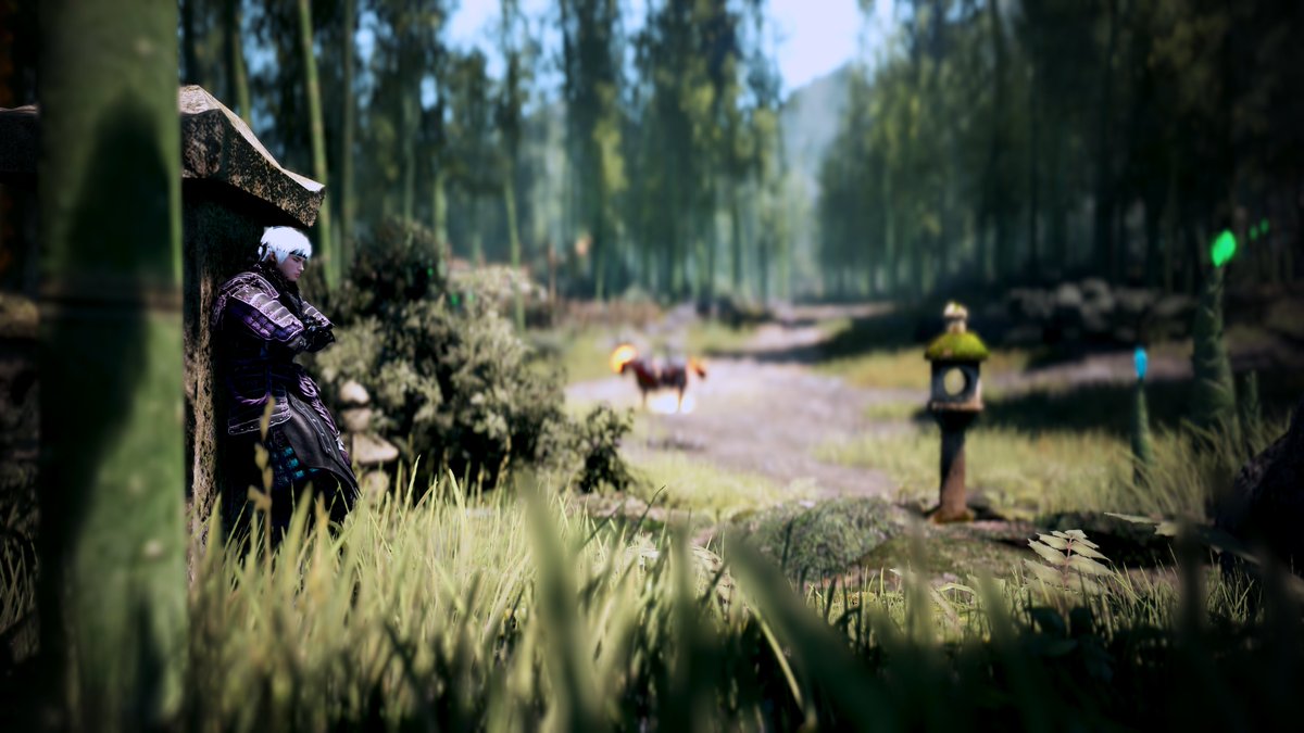 Geocazzo's tweet photo. #BDO #BlackDesertOnline #BlackDesert #BDORemastered #BDOselfie #BDOSS #BDOScreenshot #BDOScenery #BDOMemories #BDOCharacter #BDONinja #LoML #Bamboo #黒い砂漠PC #黒い砂漠 #MMO #MMORPG #GamePhotography https://t.co/zs0zFWZvXI