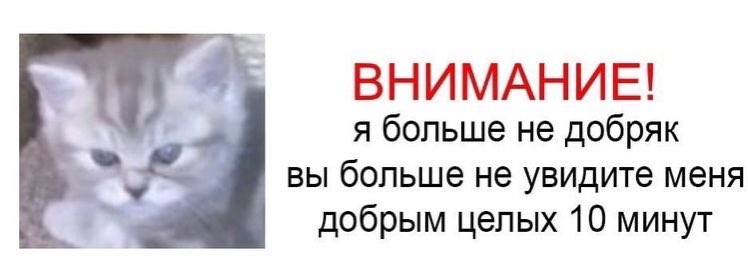 caerinie's tweet photo. всем привет,познакомимся? 

•карина/кари | 05 | лев | асц в девах
•стэн ateez/(g)-idol
•шарю за геншин, фортнайт, растения против зомби и хомскейпс 
•состою в фд аот,хайкью, серафима🫶🏻
•вместе с вами начинаю жить взрослую жизнь 
•рада взаимодействиям и открытости https://t.co/XkSazdgToc