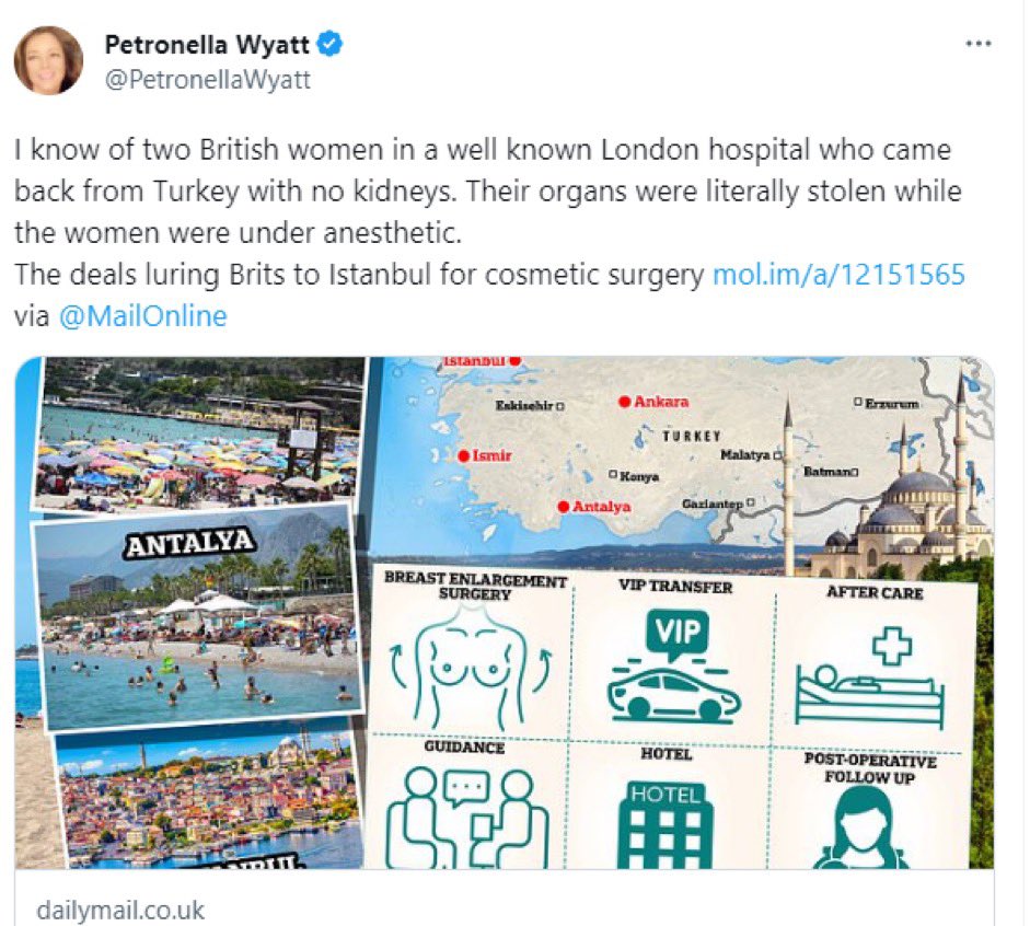 Gyll King Post Skip Diplomacy tweet media