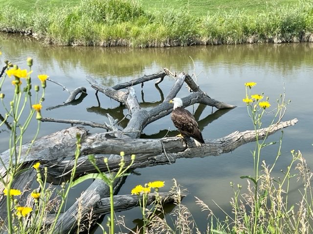 The Winston Turfcare tweet media