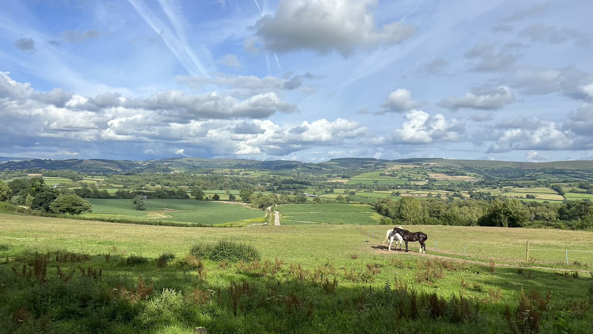 On holiday this week with <a href="/BeAPineapple1/">Anna King</a> in wales!

The view from the cottage is pretty good!!