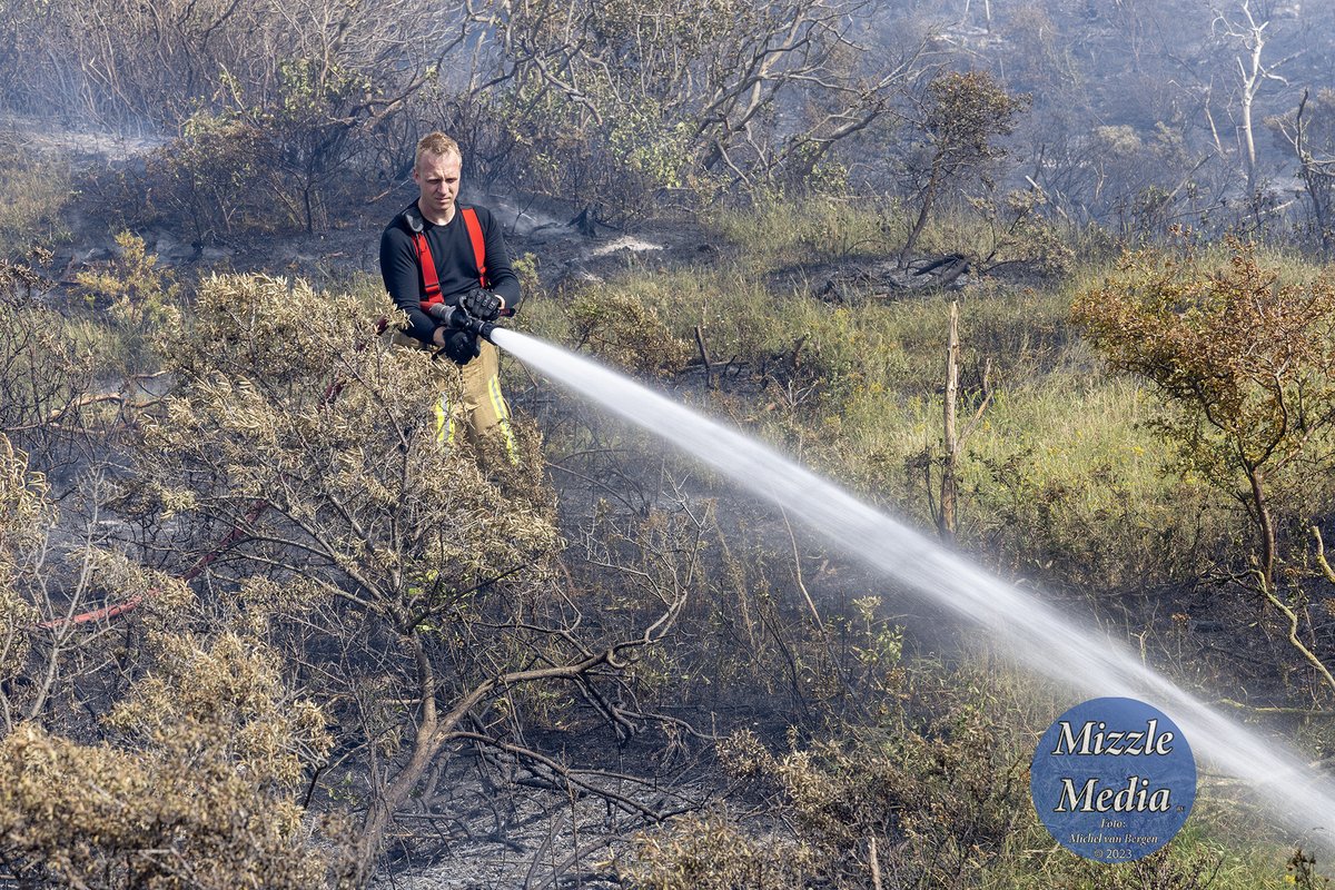 mvbergen's tweet photo. Zeer grote #brand in #duingebied #Heemskerk, zie https://t.co/94CGhEoZd2 https://t.co/gtuo7rqnWe