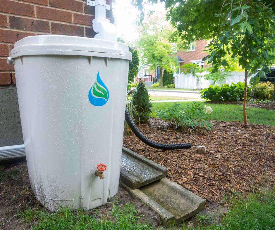 💧 Drop your thoughts on a Dufferin County Rain Barrel Program for your chance to win a $50 gift card to a local garden center of your choice! joinindufferin.ca/rainbarrel