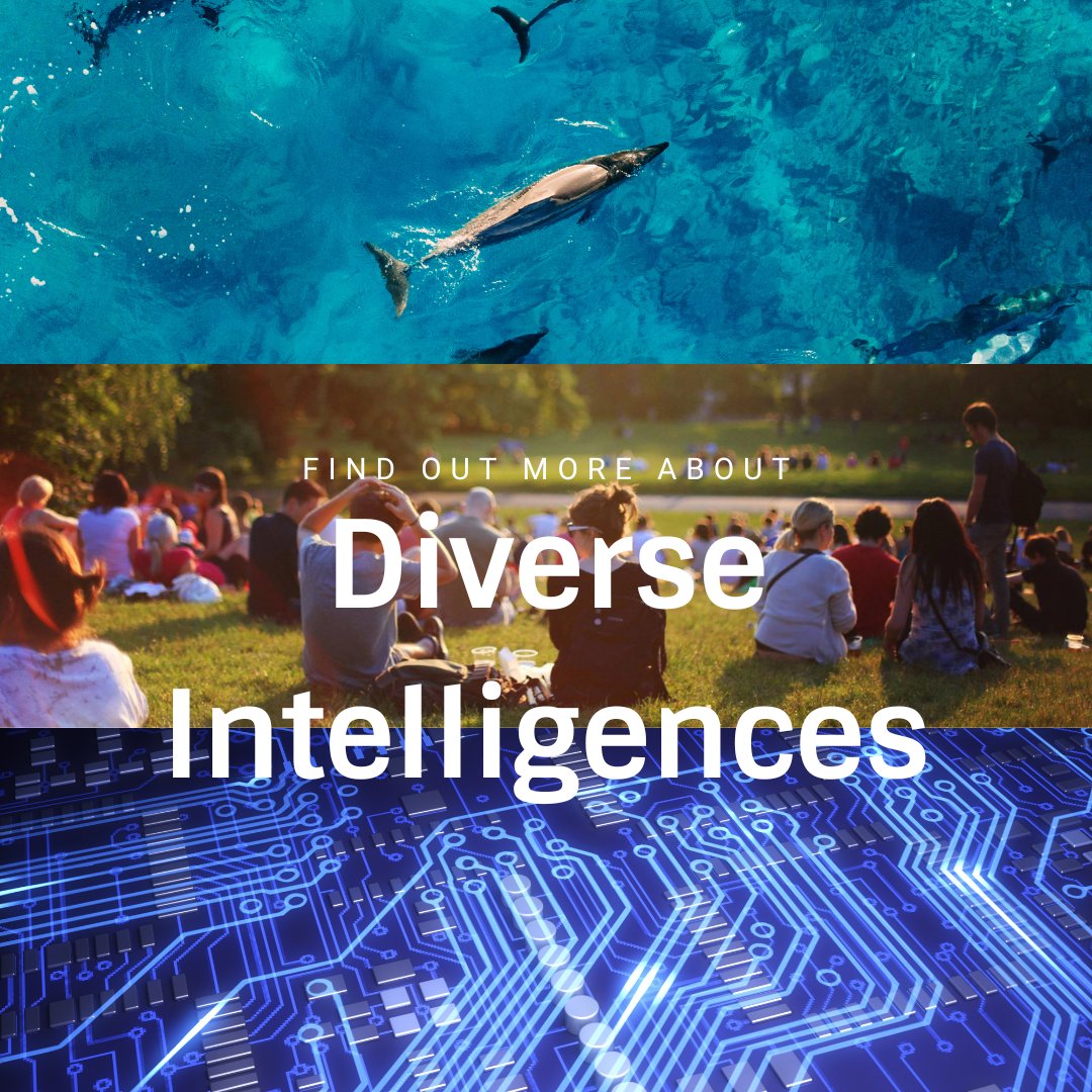 TempletonWorld's tweet photo. This month we’re going to be exploring one of our priority areas - #DiverseIntelligences!  

But what do we mean by this? Check out our thread below as we dive into this topic👇 https://t.co/3sjwHtM3hl