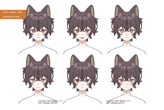 model wips (cm) 