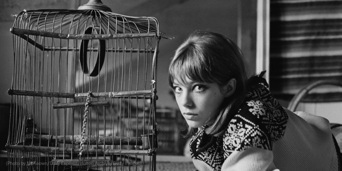 Post Style tweet media