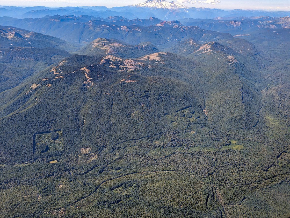 🐱 tedder 🐈 tweet media