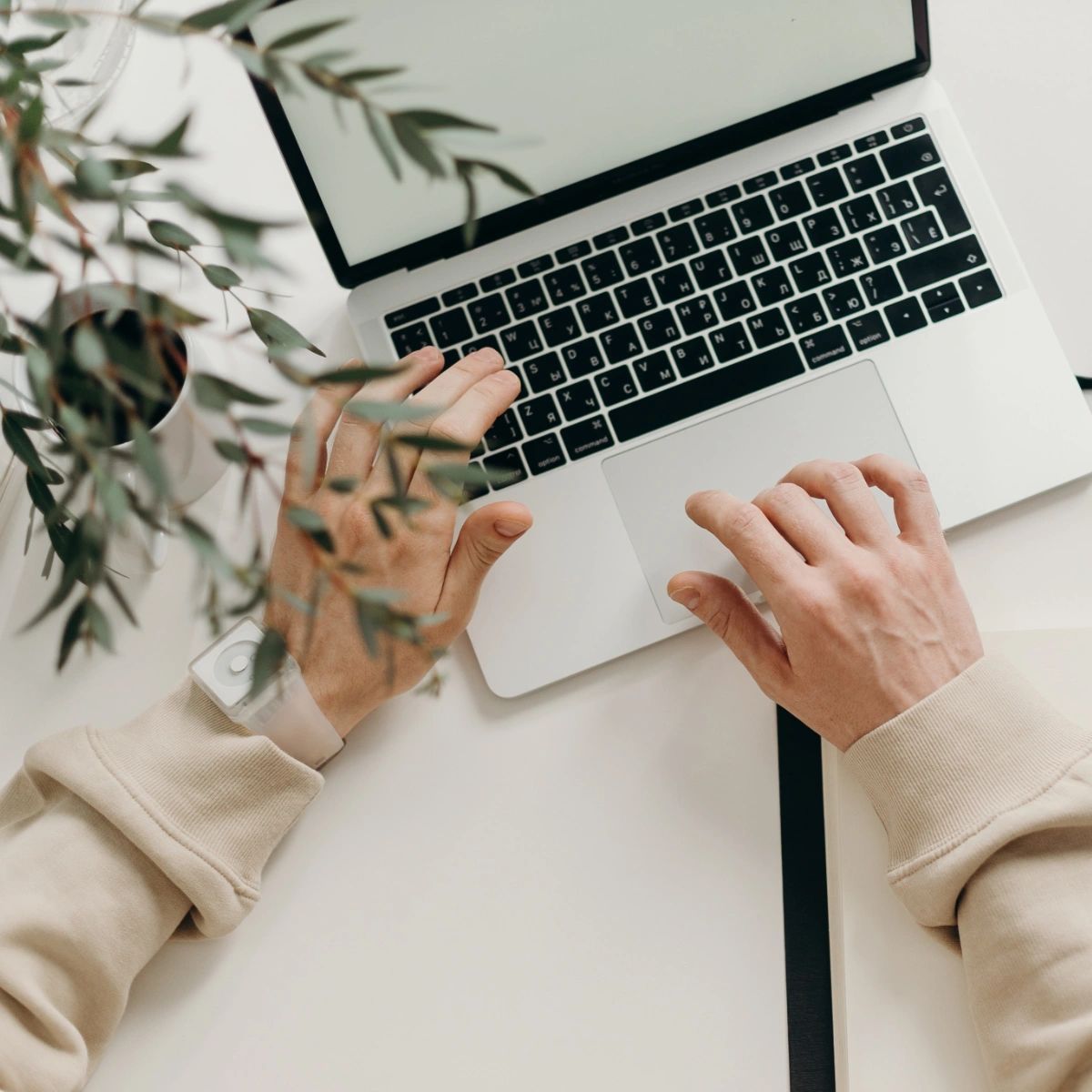 GreenValle64486's tweet image. Don't miss out on exclusive offers and updates! Join our mailing list today to be the first to know what's new at Green Valley Lawn Solutions. Sign up on our website now! #GreenValleyLawnSolutions #LawnCare #LawnSolutions #LawnCareSC #LawnRestoration

greenvalleylawn.com