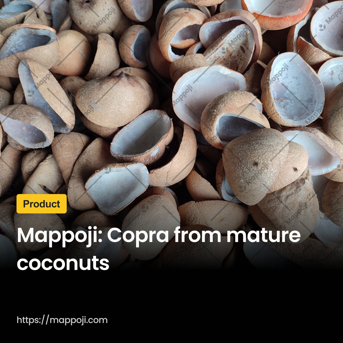 mappoji_id's tweet photo. Get a special offer for your first order! Contact us at contact@mappoji.com or +62 813 9809 1318 (WhatsApp)

Order now https://t.co/CA2t1i1sXv

#mappoji #whitecopra #coconutcopra #coconut #copra #coconutoil #export #import #coconutcharcoal #ballcopra #drycopra #ediblecopra https://t.co/PiZDFApA7K