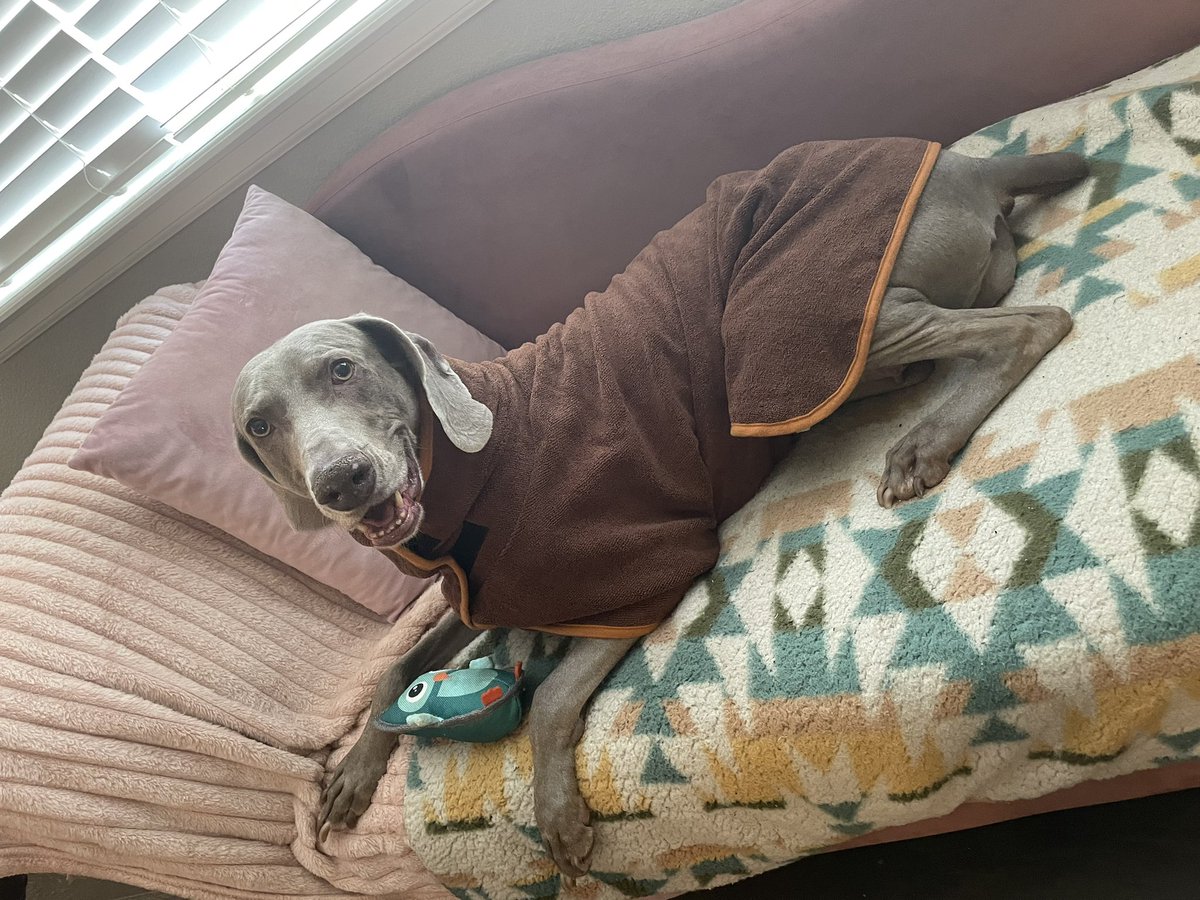 Happy Monday friends we hope you have a pawsome week 💙