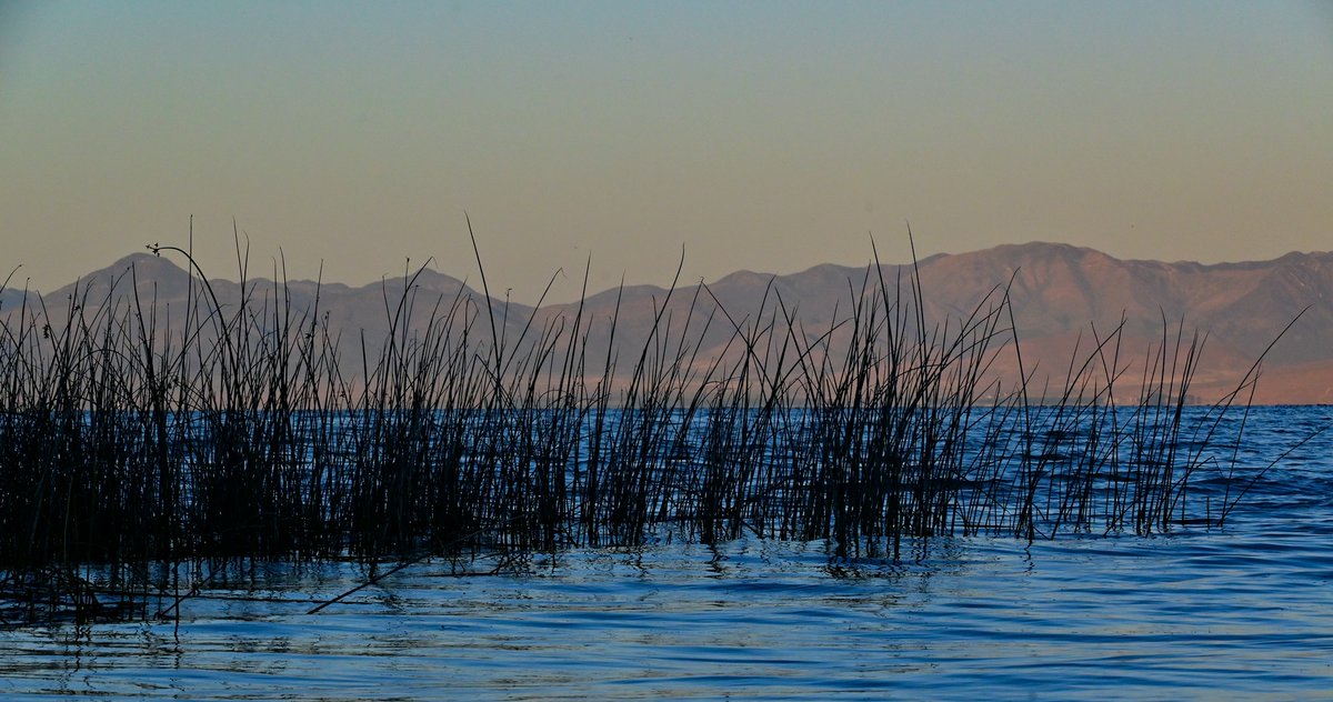 workingitoutnow tweet media