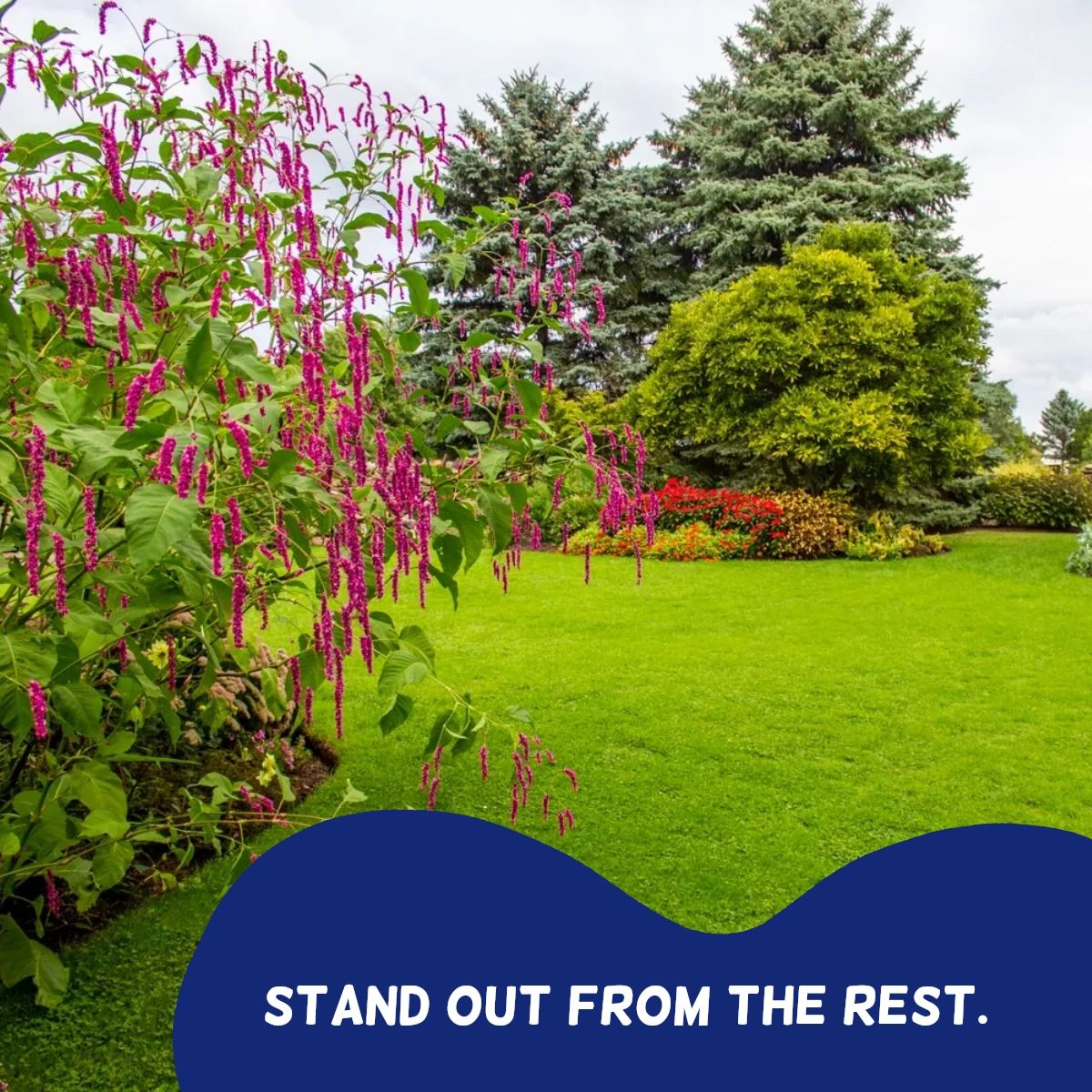 JonesAutoParts's tweet photo. We're here to help make your yard, beautiful, unique, and the talk of your neighborhood with our tools! Stop by and shop our equipment today. https://t.co/ETLjW7Cf8r