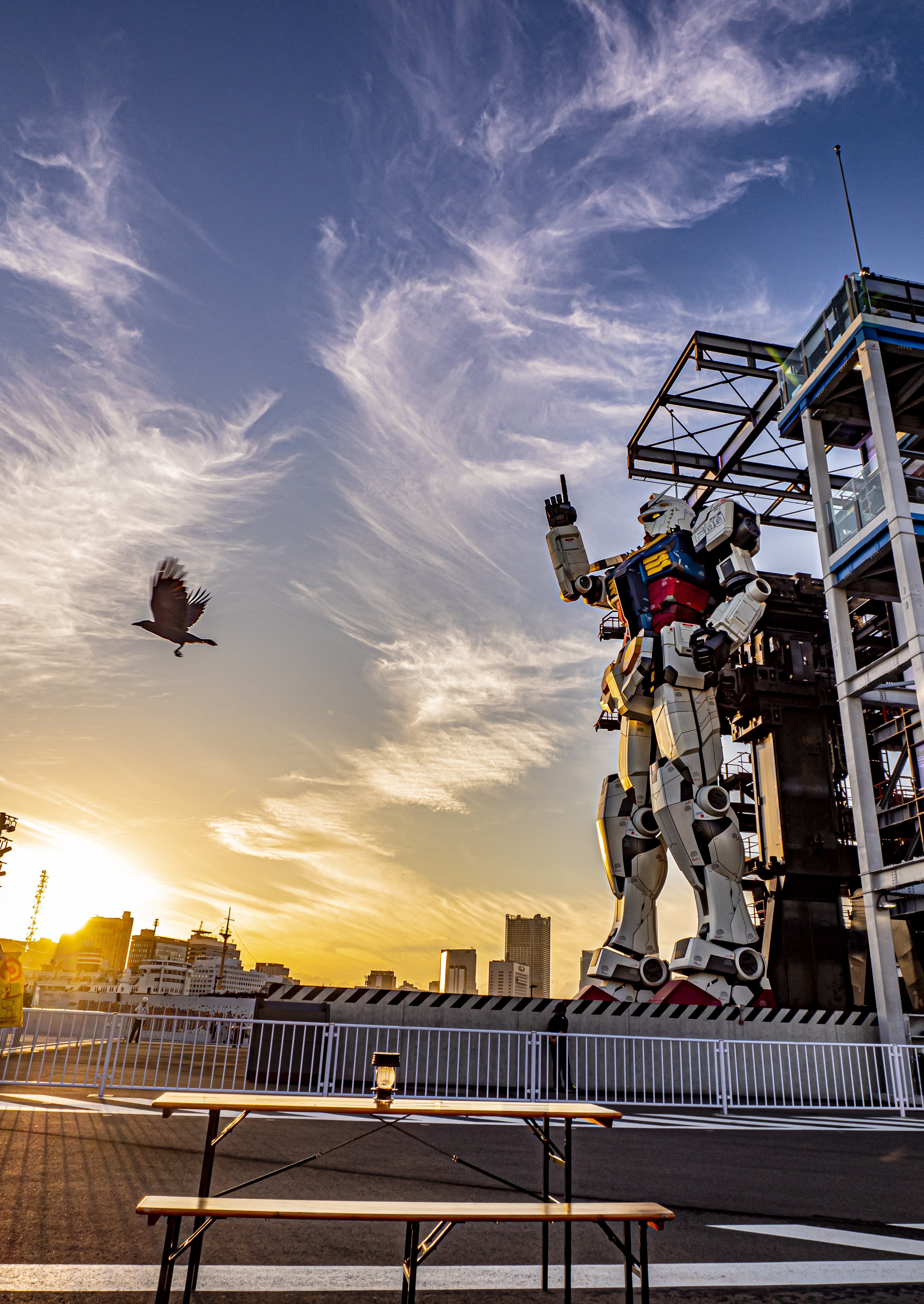 免税 よっくん様専用です。 - yosakoi.borgmusic.jp