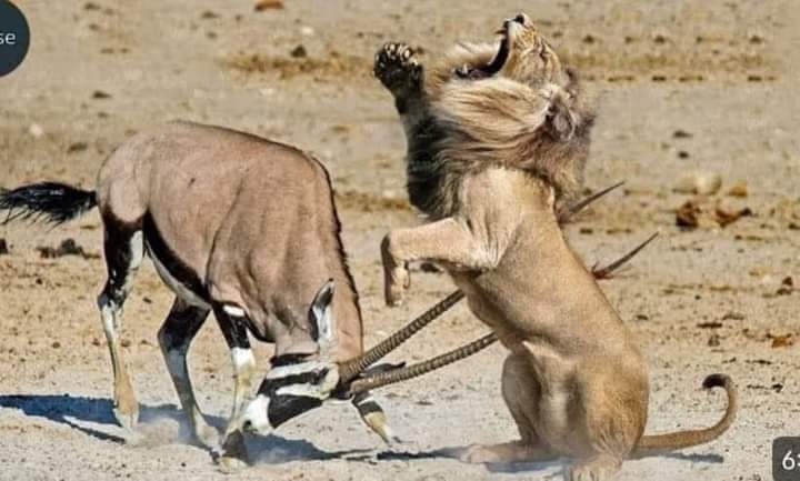 اگر باجوڑ میں شیردل کے نام سے ، سوات میں ردالفساد،،اور وزیرستان میں ضرب غضب  کے نام سے ، فوجی آپریشن ہو سکتا ہے،
تو سندھ کے کچے کے ڈاکوؤں پر فوجی آپریشن کیوں نہیں ہو سکتا.🤔