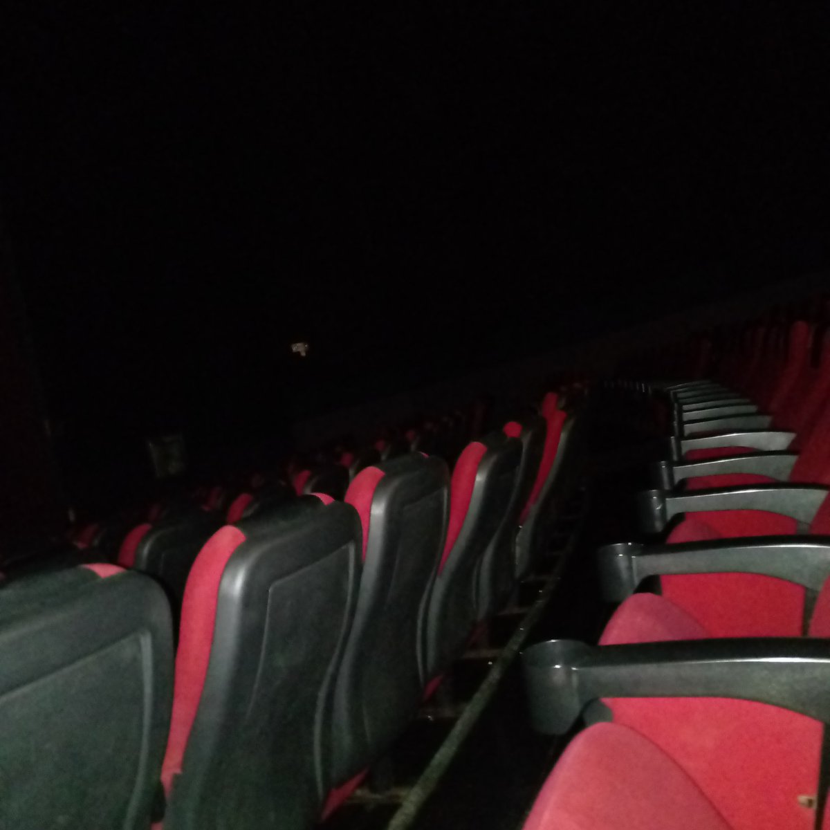 Alone but not lonely.