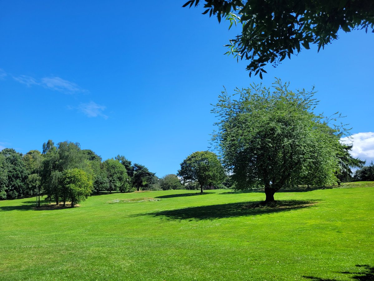 Thorneywood Mount Rehabilitation Unit tweet media