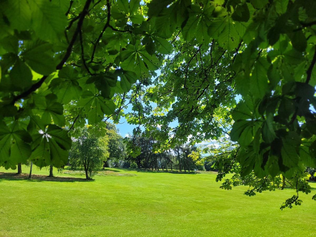 Thorneywood Mount Rehabilitation Unit tweet media